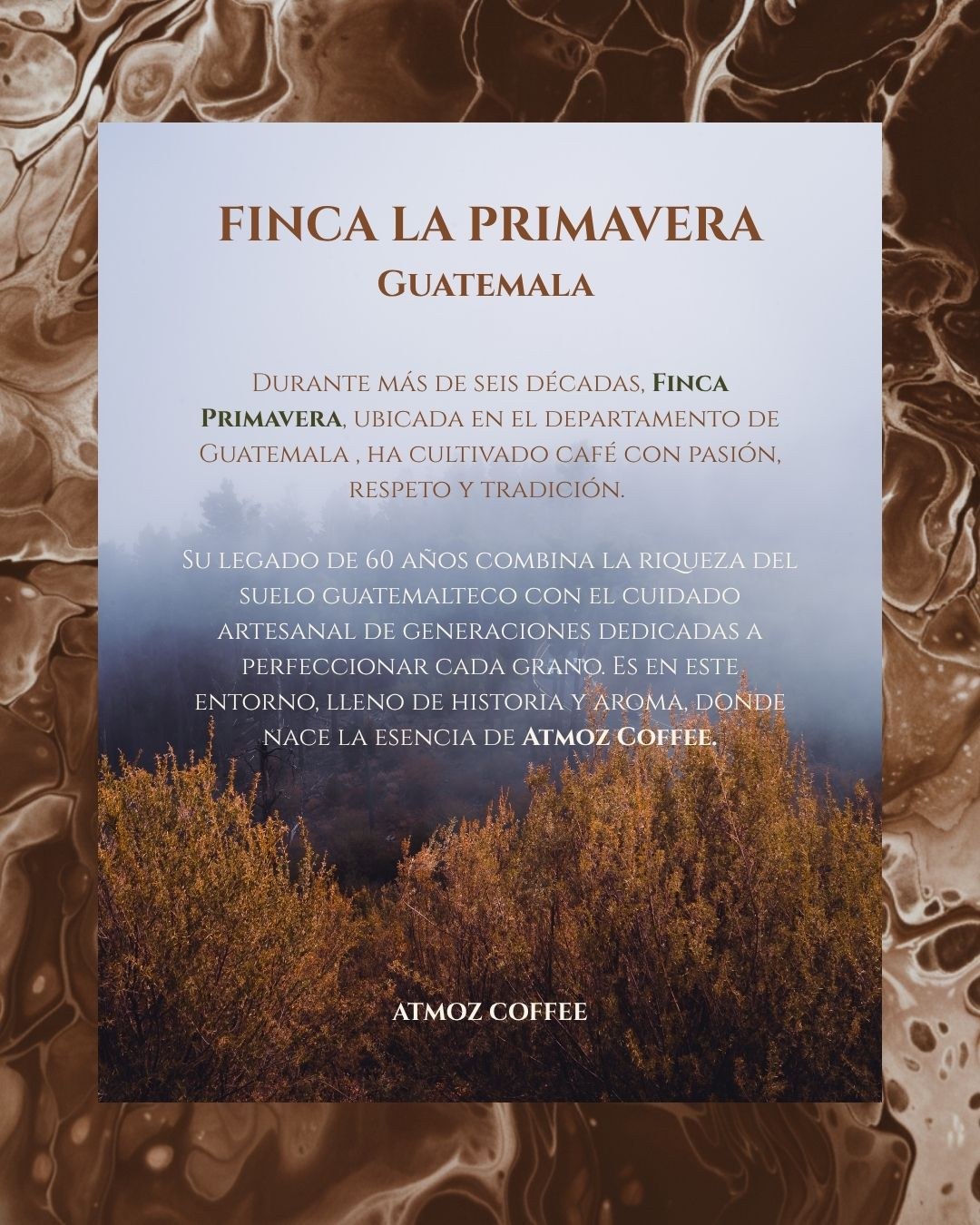 Historia de Finca La Primavera, Guatemala